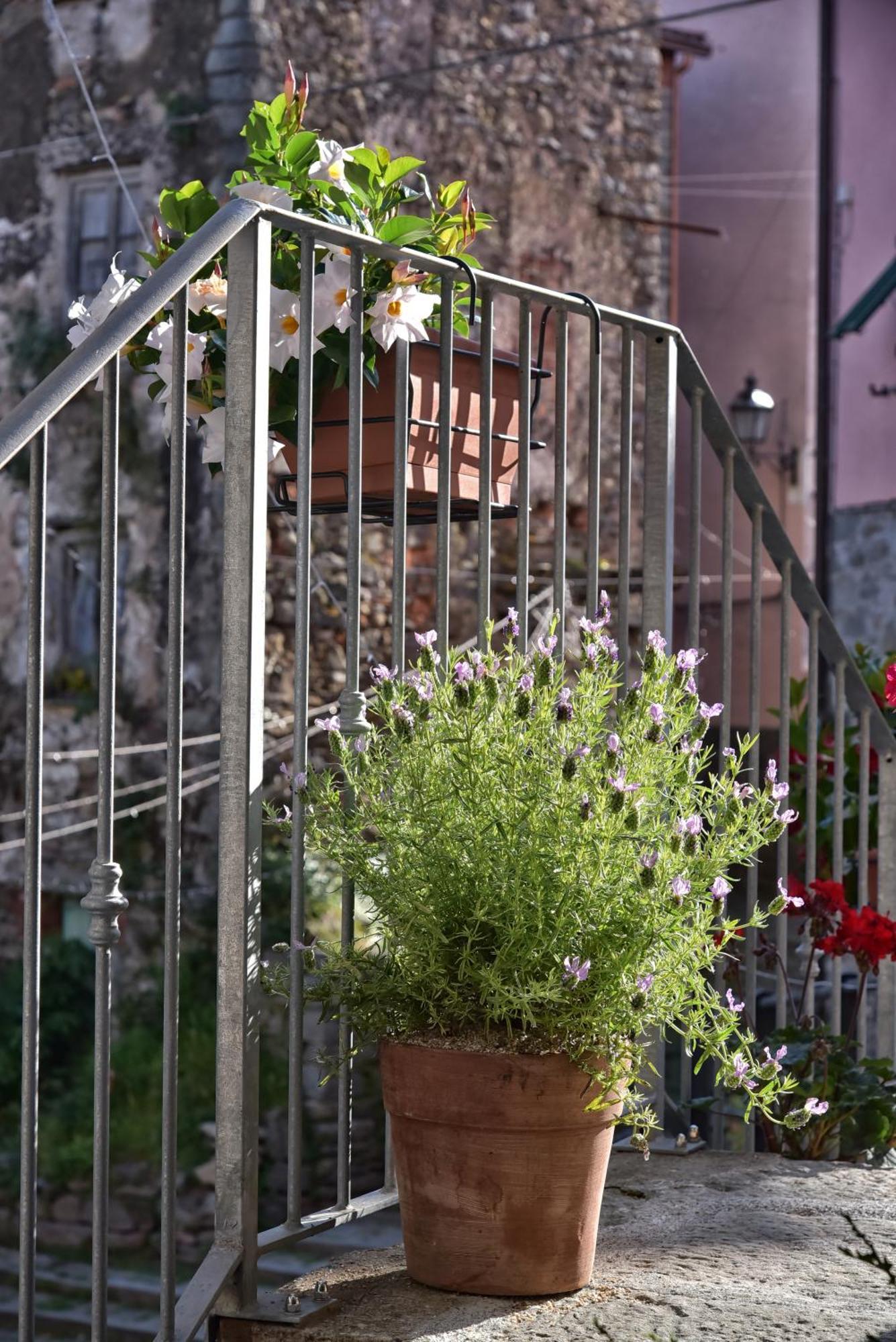 Casa Vacanze Tra I Monti E San Martino Biassa Exterior photo